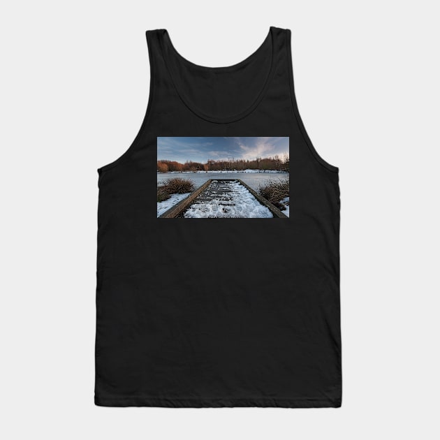 Frozen Tank Top by TheBigYin